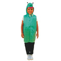 Frog Dress‑Up Costume